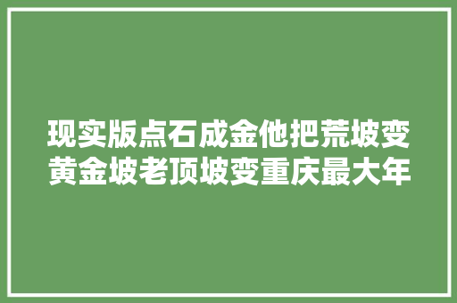 现实版点石成金他把荒坡变黄金坡老顶坡变重庆最大年夜汽摩城
