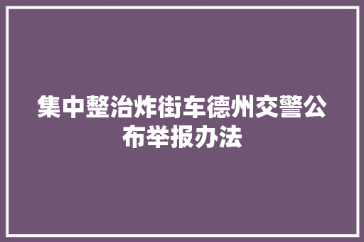 集中整治炸街车德州交警公布举报办法