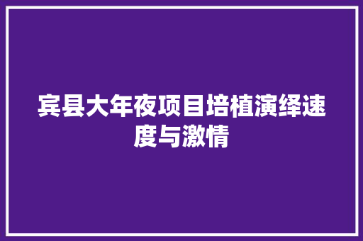 宾县大年夜项目培植演绎速度与激情