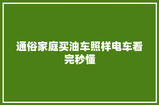 通俗家庭买油车照样电车看完秒懂