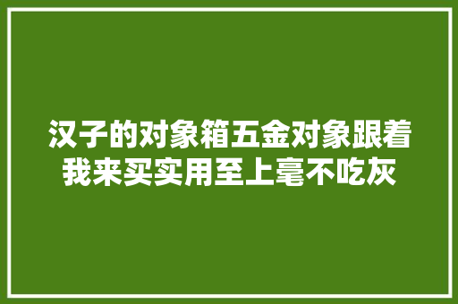 汉子的对象箱五金对象跟着我来买实用至上毫不吃灰