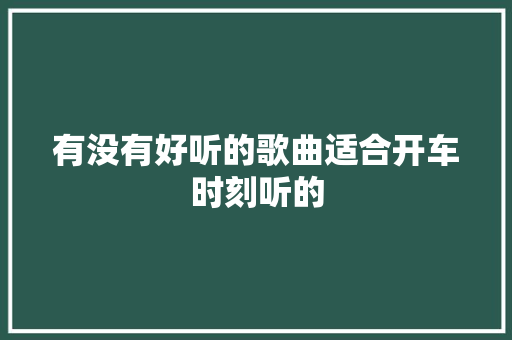 有没有好听的歌曲适合开车时刻听的