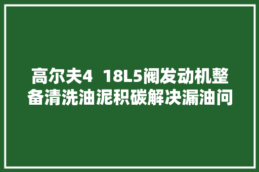 高尔夫4  18L5阀发动机整备清洗油泥积碳解决漏油问题