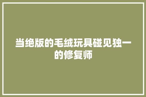 当绝版的毛绒玩具碰见独一的修复师
