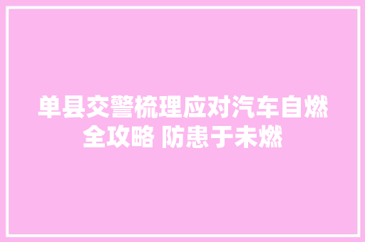 单县交警梳理应对汽车自燃全攻略 防患于未燃
