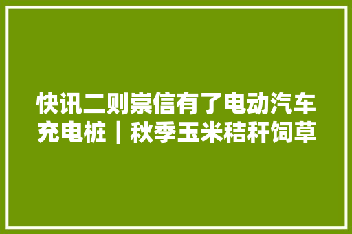 快讯二则崇信有了电动汽车充电桩｜秋季玉米秸秆饲草青贮加工新技能在崇信县推广