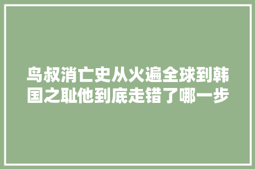 鸟叔消亡史从火遍全球到韩国之耻他到底走错了哪一步