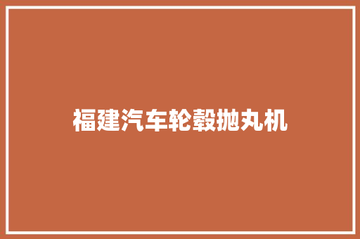 福建汽车轮毂抛丸机