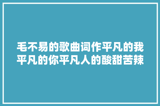 毛不易的歌曲词作平凡的我平凡的你平凡人的酸甜苦辣