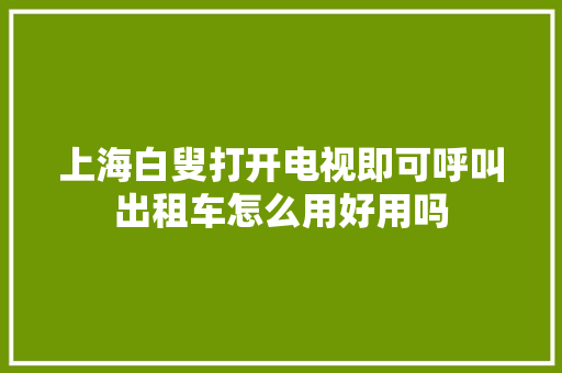 上海白叟打开电视即可呼叫出租车怎么用好用吗