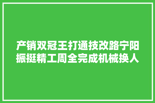 产销双冠王打通技改路宁阳振挺精工周全完成机械换人
