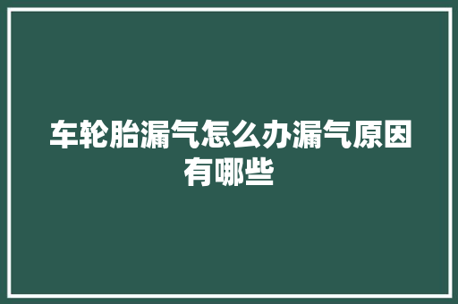 车轮胎漏气怎么办漏气原因有哪些