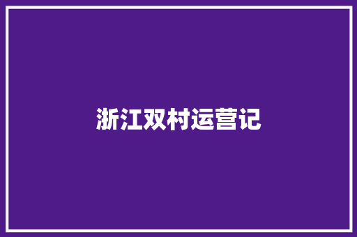 浙江双村运营记
