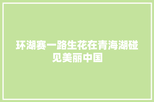 环湖赛一路生花在青海湖碰见美丽中国