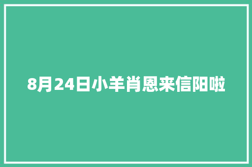 8月24日小羊肖恩来信阳啦