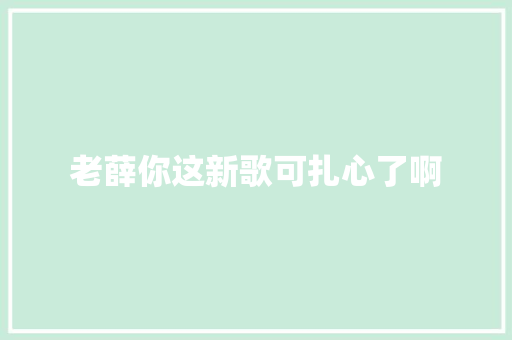 老薛你这新歌可扎心了啊