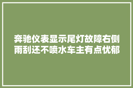 奔驰仪表显示尾灯故障右侧雨刮还不喷水车主有点忧郁了 汽车知识