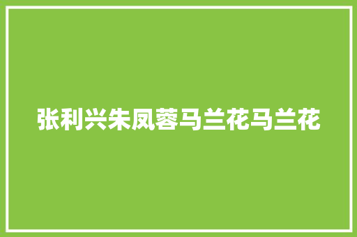 张利兴朱凤蓉马兰花马兰花