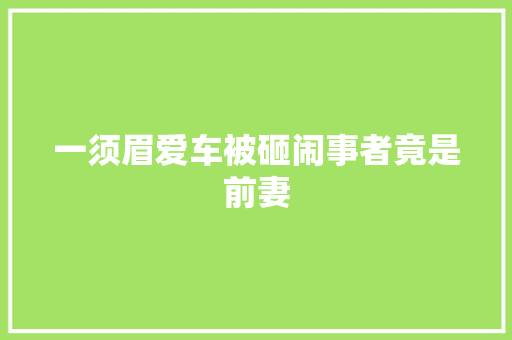 一须眉爱车被砸闹事者竟是前妻