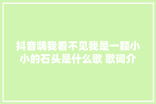 抖音嗨我看不见我是一颗小小的石头是什么歌 歌词介绍