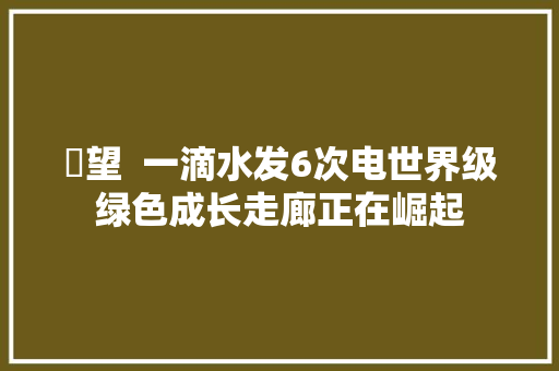 瞭望  一滴水发6次电世界级绿色成长走廊正在崛起