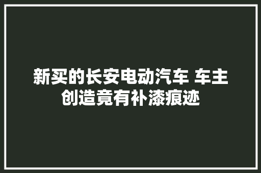 新买的长安电动汽车 车主创造竟有补漆痕迹