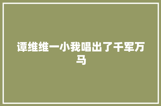谭维维一小我唱出了千军万马