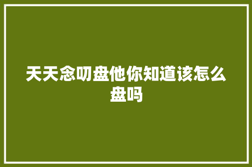 天天念叨盘他你知道该怎么盘吗
