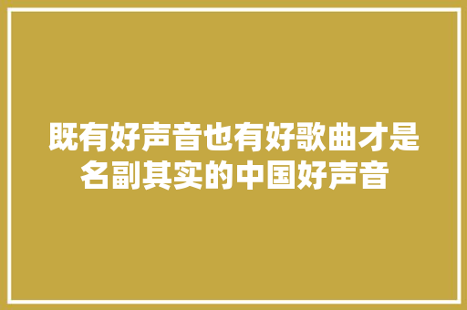 既有好声音也有好歌曲才是名副其实的中国好声音