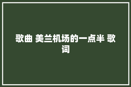歌曲 美兰机场的一点半 歌词