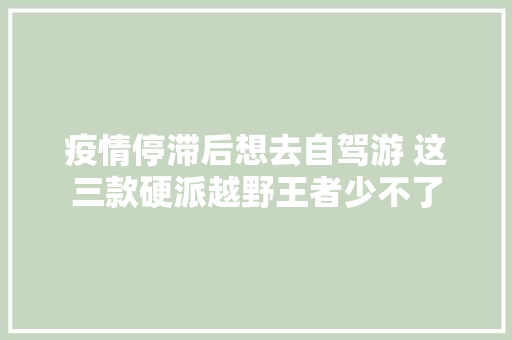 疫情停滞后想去自驾游 这三款硬派越野王者少不了
