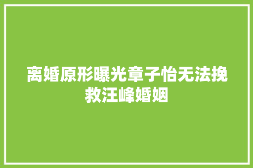 离婚原形曝光章子怡无法挽救汪峰婚姻