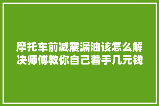 摩托车前减震漏油该怎么解决师傅教你自己着手几元钱就能修好