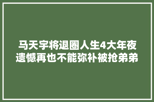 马天宇将退圈人生4大年夜遗憾再也不能弥补被抢弟弟至今下落不明