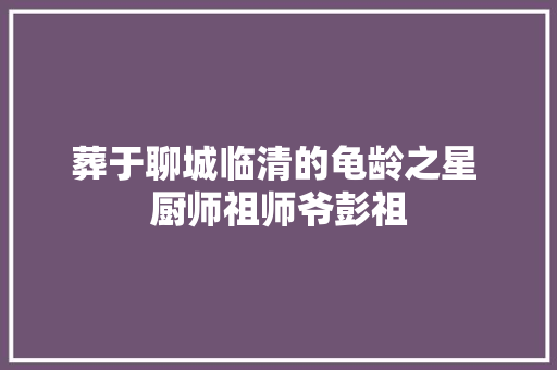 葬于聊城临清的龟龄之星 厨师祖师爷彭祖