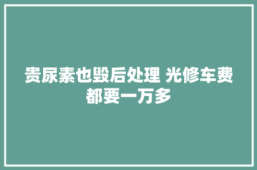 贵尿素也毁后处理 光修车费都要一万多