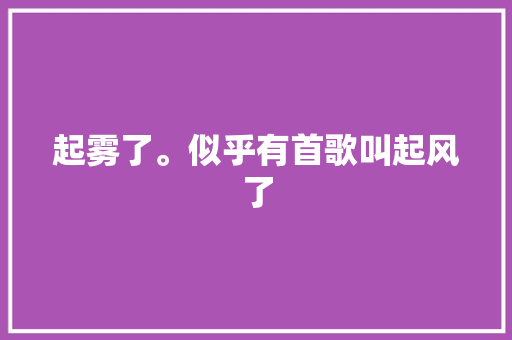 起雾了。似乎有首歌叫起风了