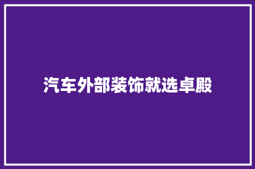 汽车外部装饰就选卓殿