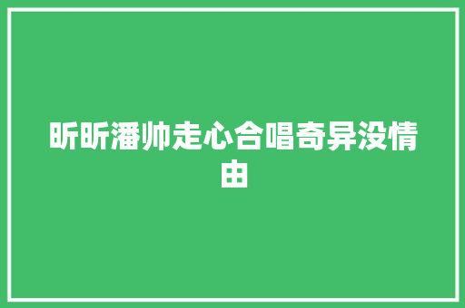 昕昕潘帅走心合唱奇异没情由
