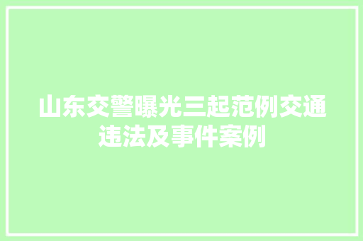山东交警曝光三起范例交通违法及事件案例