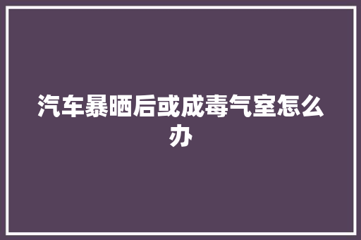 汽车暴晒后或成毒气室怎么办