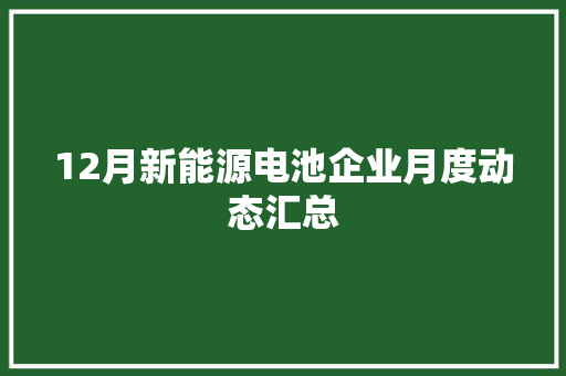 12月新能源电池企业月度动态汇总
