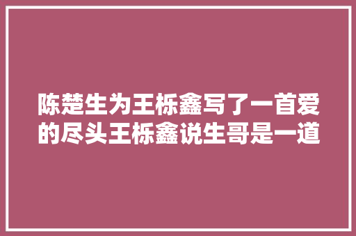 陈楚生为王栎鑫写了一首爱的尽头王栎鑫说生哥是一道光 休闲娱乐