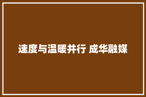 速度与温暖并行 成华融媒
