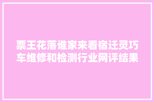 票王花落谁家来看宿迁灵巧车维修和检测行业网评结果