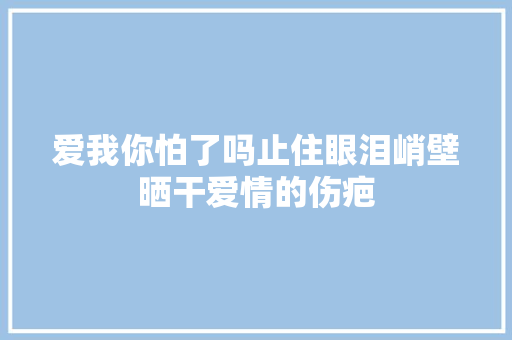 爱我你怕了吗止住眼泪峭壁晒干爱情的伤疤