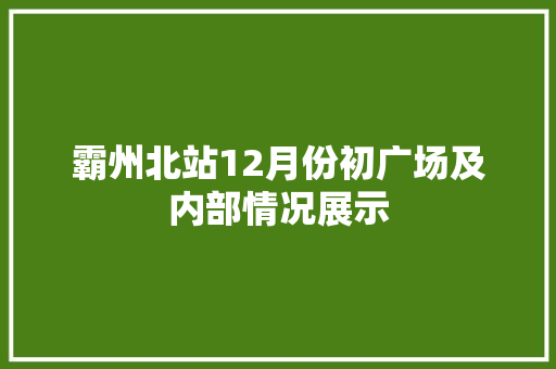 霸州北站12月份初广场及内部情况展示