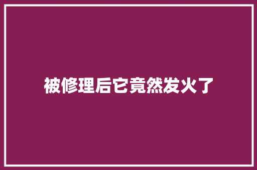 被修理后它竟然发火了