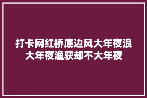 打卡网红桥底边风大年夜浪大年夜渔获却不大年夜 汽车知识