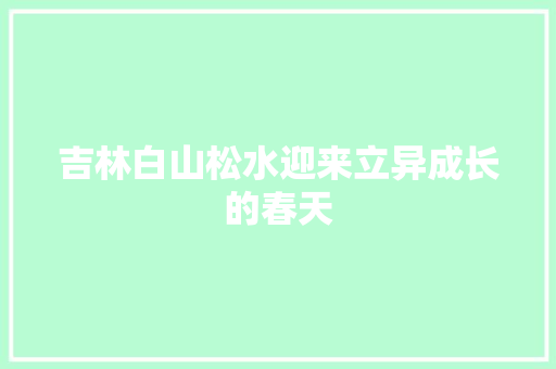 吉林白山松水迎来立异成长的春天